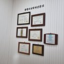 세교미소치과의원 네이버블로그