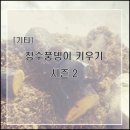 [기타] 장수풍뎅이 키우기 시즌2-2주차