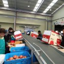 무주 농산물산지유통센터 이미지