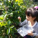 담양도래수마을 이미지