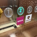 꿈꾸는개 이미지