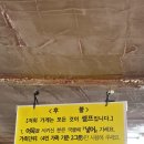 철길떡볶이 I 옛날 떡볶이 솔직 후기, 충정로역 맛집