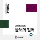 2022 올해의 트렌드 컬러 이미지