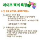 미네랄라이프 이미지