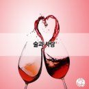 술사랑 Daum카페