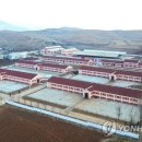 대안목장 이미지