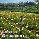 전남 축제 제27회 함평 나비 대축제 &#39;황박이와 함께하는 함평 나비세상&#39; (주차/행사일정)