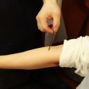 보문불교