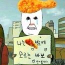 칠칠켄터키치킨