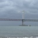 카앤모터스 | BMW 대전아트앤사이언스 320I 코냑 시트 시승후기 BMW 딜러 추천 강지훈 대리