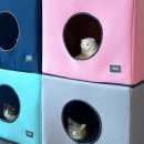 핑크 펫 하우스 이미지