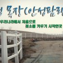 각하목장 네이버블로그