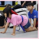 용인대대영태권도 이미지