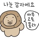 엘담스테이 이미지