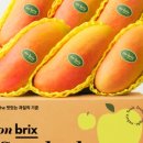 레드브릭스 이미지