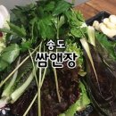 쌈앤장 이미지