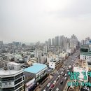 파스텔라 스튜디오 이미지