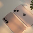 용인센트럴동물병원 이미지