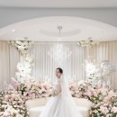 2809 | 본식 스냅 캐치아이웨딩 비엔티컨벤션 촬영 후기