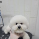 무브멍트 이미지