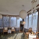 도시락회 이미지