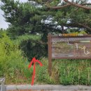 대전둘레산길(4구간) 이미지