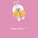파파샌드하우스