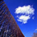 안줄농장 이미지