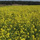 정원메디칼 이미지