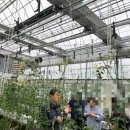 도시농업-스마트팜 전문가 과정 이미지