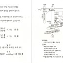 묵동-073 이미지