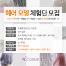 피엘헤어 이미지
