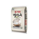 백진주 - 강서구 | 백진주