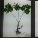 지리산허브벨리 이미지