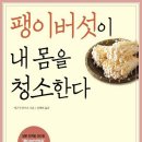 팽이버섯이 건강식품으로 주목받는 이유 이미지