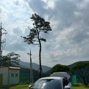 오금스테이 | [충북 괴산] 사담스테이 후기 여름 물놀이 일기