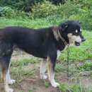 장덕농원 이미지