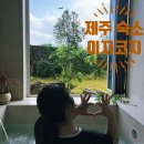 이지코지 | [제주도 숙소] 이지코지 :: 3일동안 힐링! 신창풍차해안도로 주변 가성비 자쿠지 숙소