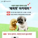 해피펫 이미지