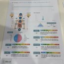 8체질 라파엘한의원 1~4회차 후기 (내돈내산)