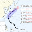 장미 이데일리