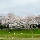 황산공원(황산C) 이미지