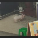 신흥 떡 방앗간 이미지