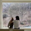 해리PC방 이미지