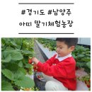 [경기도/남양주] &#39;아띠딸기농장&#39; 무료 오락실을 갖춘 딸기 따기 체험 농장