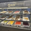 초밥천국 | 🍣 양산 쿠우쿠우 솔직 후기｜초밥천국이지만 가족외식은 아쉬운 이유!