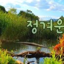 민물통발 이미지