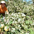 재림농장 이미지