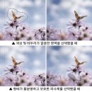 합성IT 이미지