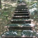 돈대지 | 계룡산산행(신원사-계곡길-연천봉-연애골)